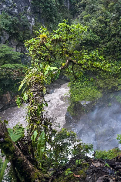 Río de montaña en los Andes. Banos. Ecuador —  Fotos de Stock