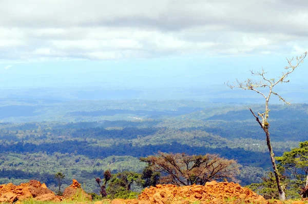 Dalle Ande all'Amazzonia, Veduta della foresta pluviale tropicale, Ecuador — Foto Stock