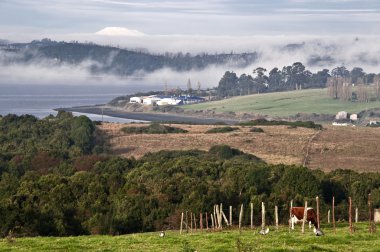 chiloe sahil Adası, Şili