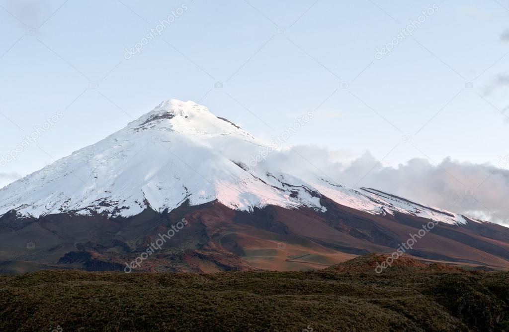 Cotopaxi volcano over the plateau on the sunset. Andean Highland