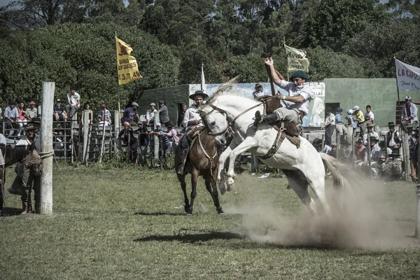 Gauchos rodeo — Stok fotoğraf