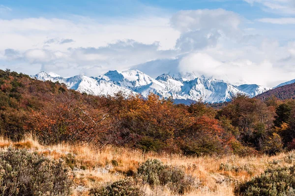 Őszi Patagonia. Tierra del fuego, argentin oldalon — Stock Fotó