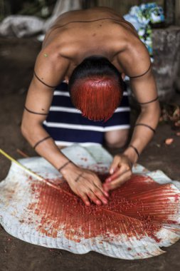 Achiote saç stili bir Hintli adam Los Tsachila kabile, Ecuador