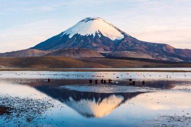 Snow capped Parinacota Volcano reflected in Lake Chungara, Chile clipart