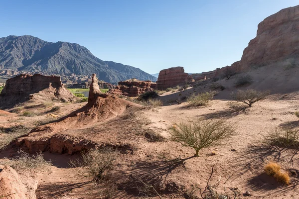 А де cafayate, Сальта, Аргентина — стокове фото