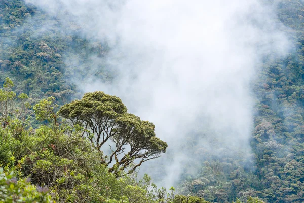 Nuvens envolvem as colinas perto de Macas, Andes. Equador — Fotografia de Stock