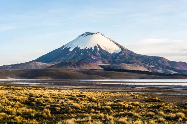 Parinacota wulkan, jezioro Chungara, Chile — Zdjęcie stockowe