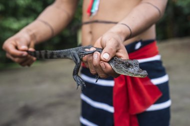 Hintli adam ve onun pet - Kayman, Ecuador