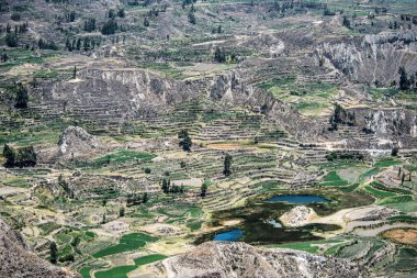 Güney Peru Colca Nehri'nin Kanyon