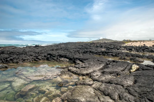 Isabela 섬-갈라파고스의 가장 큰 섬 이다 — 스톡 사진
