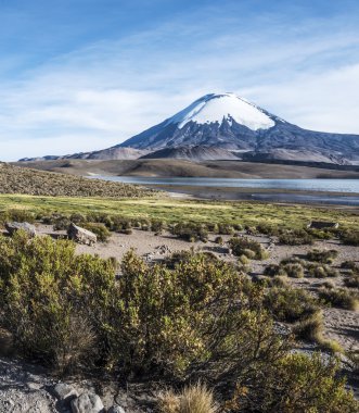 Parinacota yanardağ, Lauca, Şili