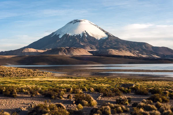 눈 덮힌 Parinacota 화산 호수 Chungara, 칠레에 반영 — 스톡 사진