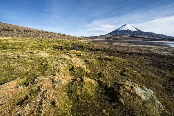 Volcán Parinacota cubierto de nieve reflejado en el lago Chungara, Chile —  Fotos de Stock