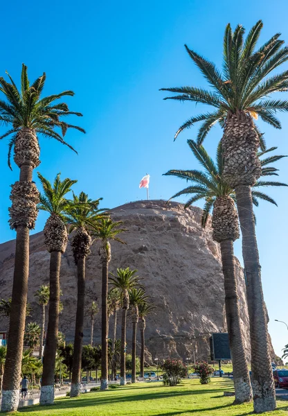 La collina di Arica, Cile — Foto Stock