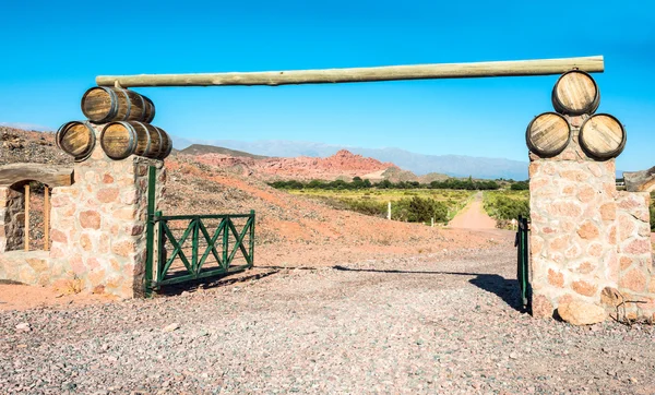 Vigneti a Cafayate, Argentina — Foto Stock