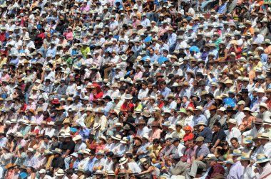 Kalabalığı izle boğa güreşi 