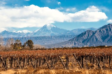 Volkan Aconcagua ve bağ, Mendoza Arjantin il