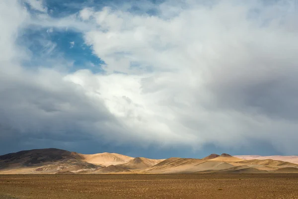 Paisaje del desierto del noroeste argentino — Foto de Stock