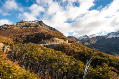 Autumn in Patagonia. Cordillera Darwin, Tierra del Fuego clipart