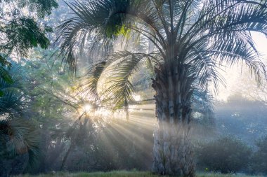 Early winter morning in Uruguay