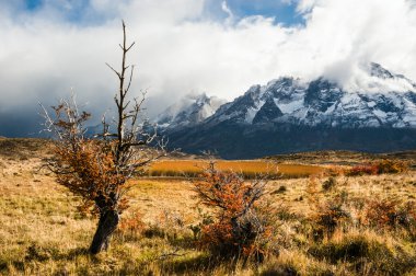 Patagonya sonbaharda. Torres del Paine Milli Parkı 