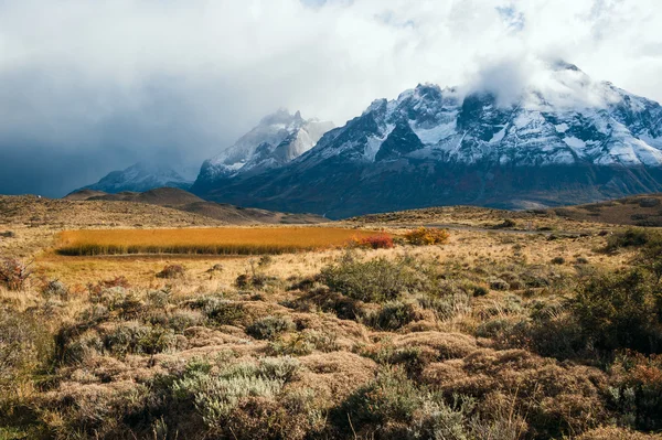 Őszi Patagonia. A Torres del Paine Nemzeti Park — Stock Fotó