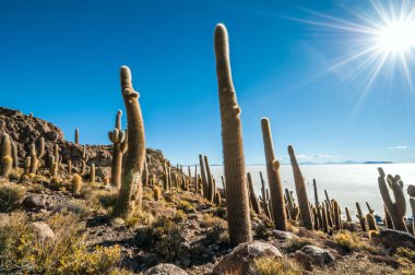 Isla de pescadores, Tuz Gölü uyuni Bolivya