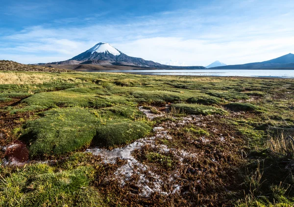 Vulcão Parinacota coberto de neve sobre o Lago Chungara, Chile — Fotografia de Stock