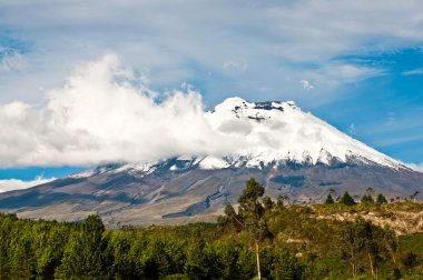 Cotopaxi volkan Yaylası, Ekvador Andes üzerinden