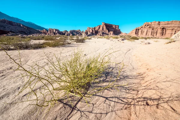 Quebrada de cafayate, salta, argentinien — Stockfoto