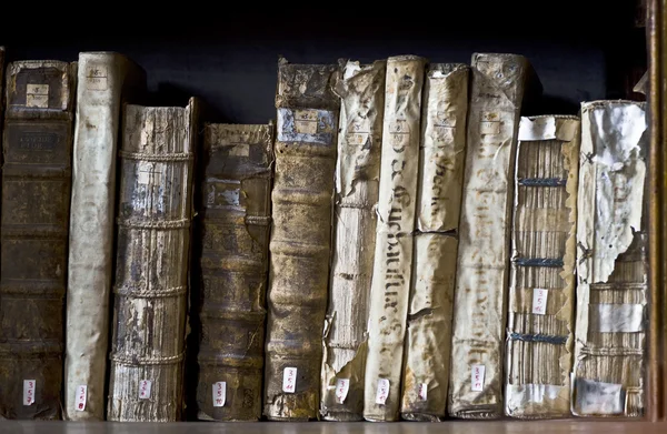 Bücher in der bibliothek ricoleta in peru — Stockfoto