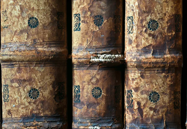 Bücher in der bibliothek ricoleta in peru — Stockfoto