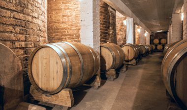 Wine barrels in Cellar of Malbec, Mendoza Province, Argentina clipart