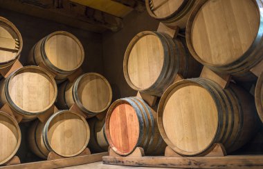 Şarap fıçıları Syrah kiler, Elqui Vadisi, Andes, Şili