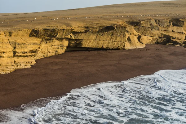 Paracas National Reserve in Peru — Stock Photo, Image