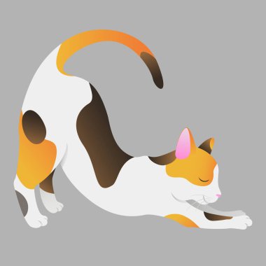 The tricolor cat is stretching. Good morning.  clipart