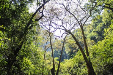 Escanela River, Bridge of God, Queretaro Mexico