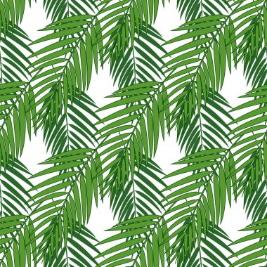 Tropik palmiye yaprakları pürüzsüz olur. Vektör illüstrasyonu.