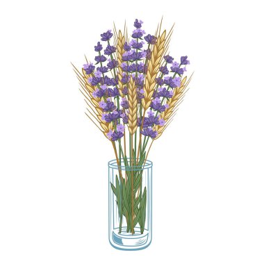 Elle çizilmiş renkli lavanta çiçekleri ve cam bir vazo vektör illüstrasyonunda kulaklar