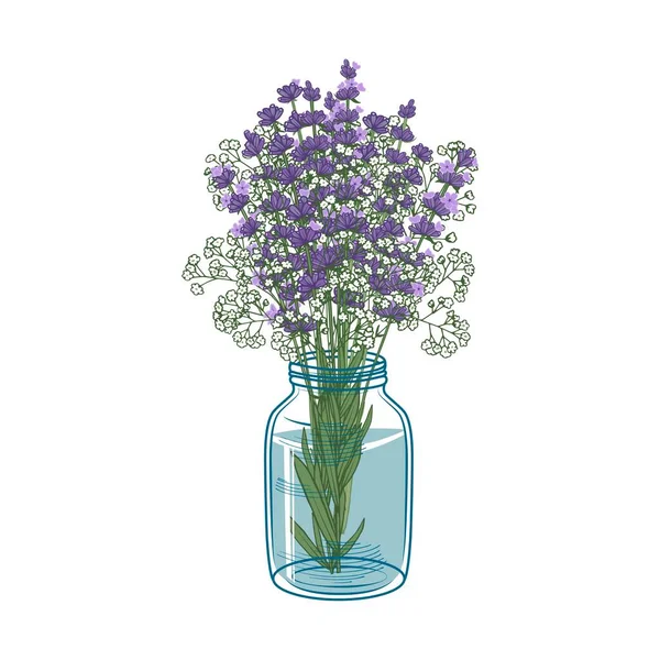 Lavanda Flores Gypsophila Frasco Vidro Ilustração Vetorial Desenhada Mão Para — Vetor de Stock