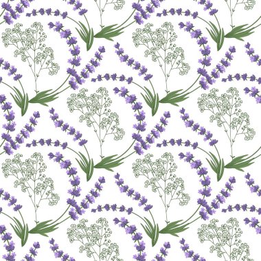 Lavanta ve çingene çiçekleriyle kusursuz vektör deseni. Beyaz arkaplanda çiçek çizimi.