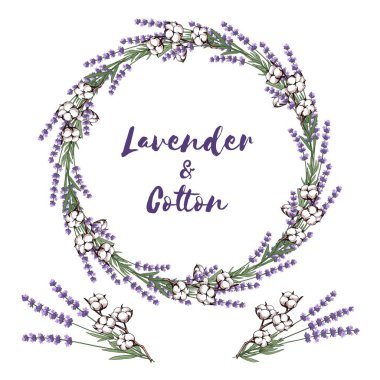 İzole edilmiş lavanta çiçeği ve pamuk dalı çelengi. Vektör İllüstrasyonu