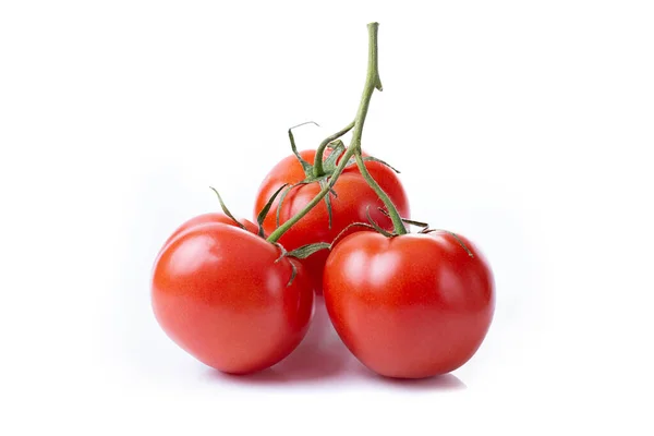 Ein Zweig Von Drei Frischen Roten Tomaten Isoliert Auf Weißem — Stockfoto