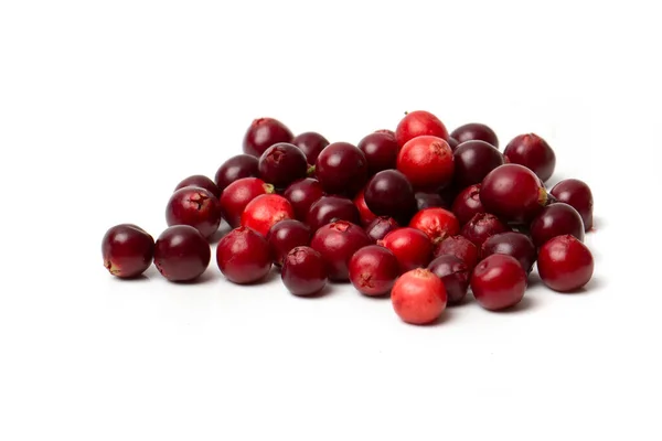 Merah Cranberry Diisolasi Pada Latar Belakang Putih — Stok Foto