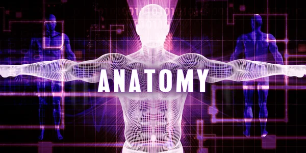 Anatomia come concetto Arte — Foto Stock