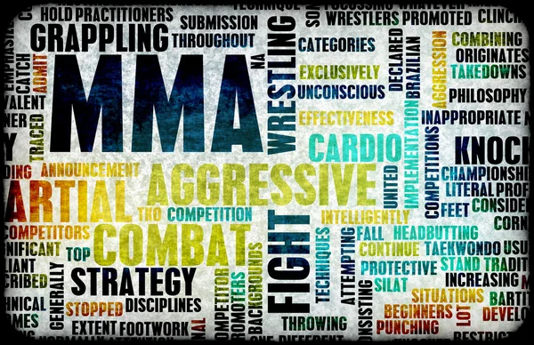 Mixed Martial Arts or MMA — Stock Photo, Image