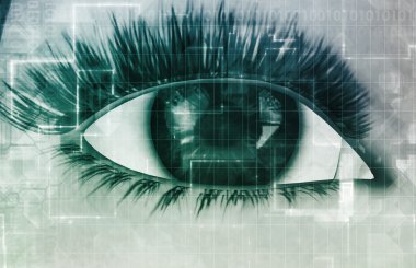 Kavram olarak güvenlik ağı