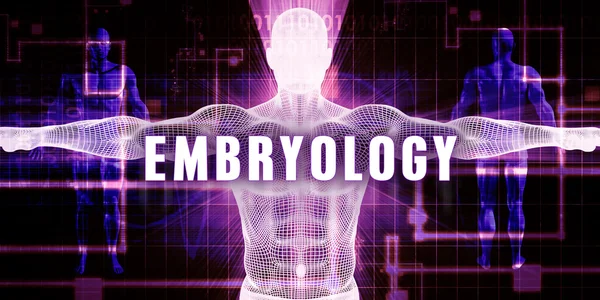 Embryologie als Concept — Stockfoto