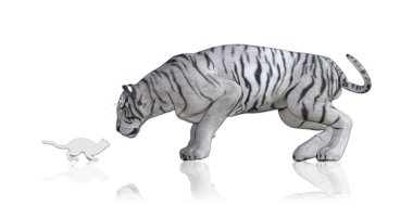 Cat Tiger Reflection as a Concept clipart