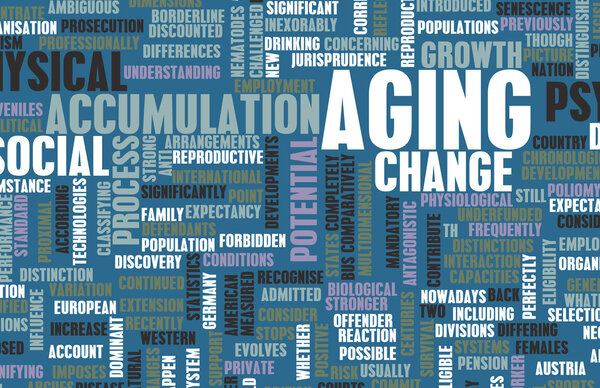 Aging Concept as a Concept